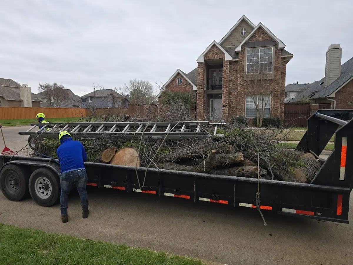 Expert Tree Removal with proper safety equipment in East Templeton